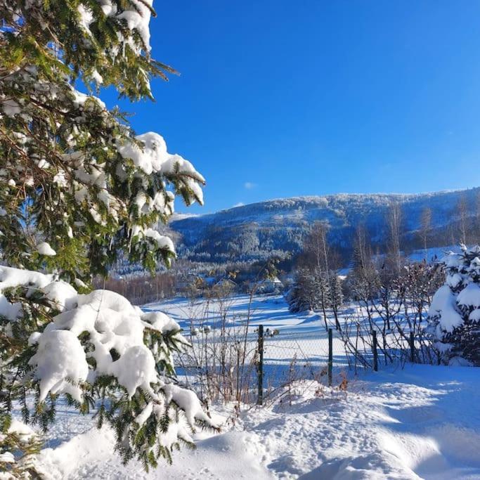 Panorama Sucha Gora Βίλα Skawica  Εξωτερικό φωτογραφία